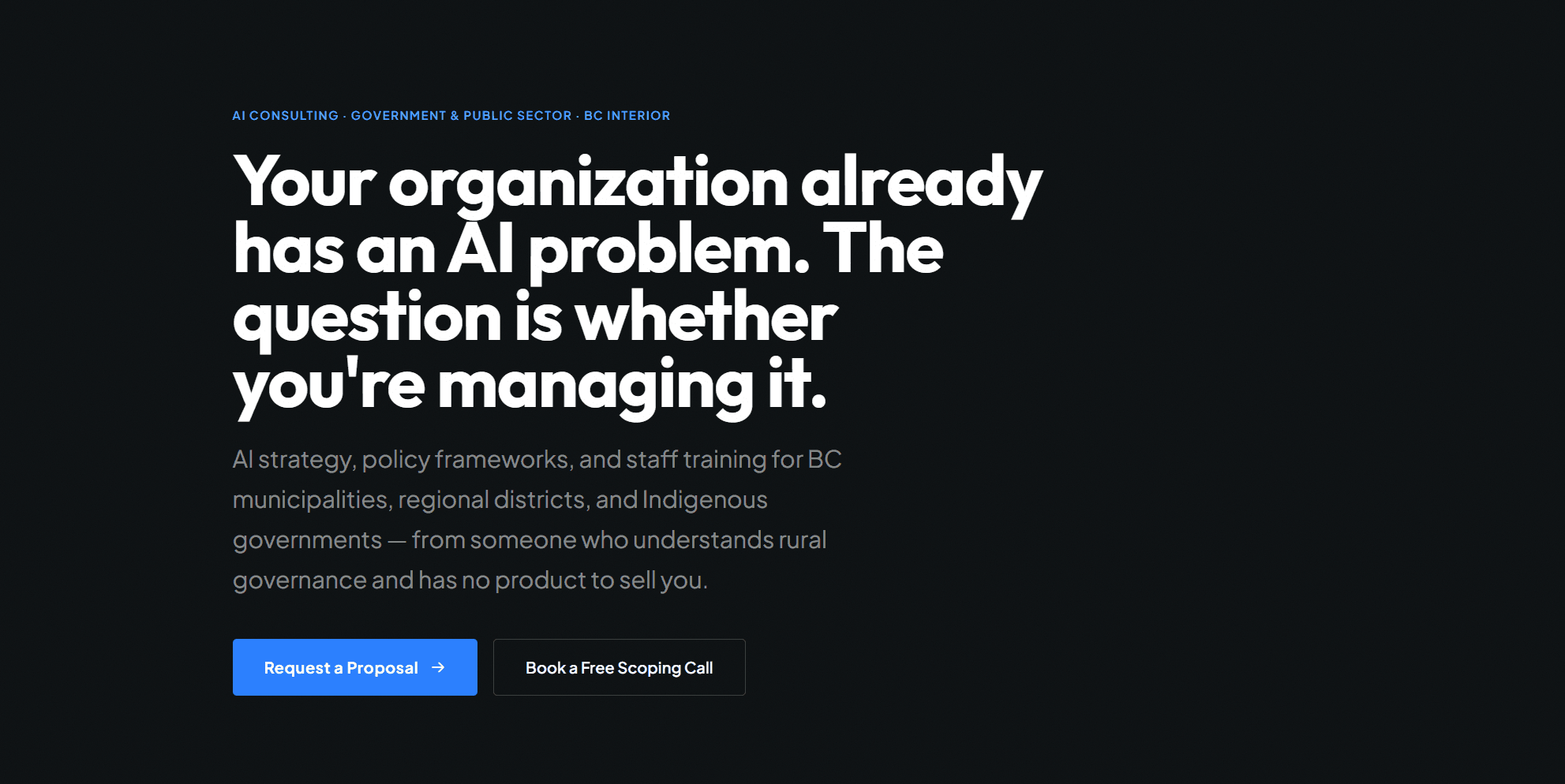 Government AI Consulting